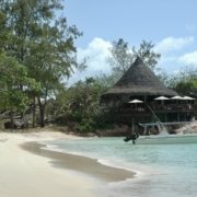 BD3896A1-17B0-434D-AD49-504254539F1F_1_201_a